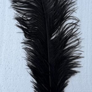 Pióro CZARNE dekoracyjne 40 - 45 cm